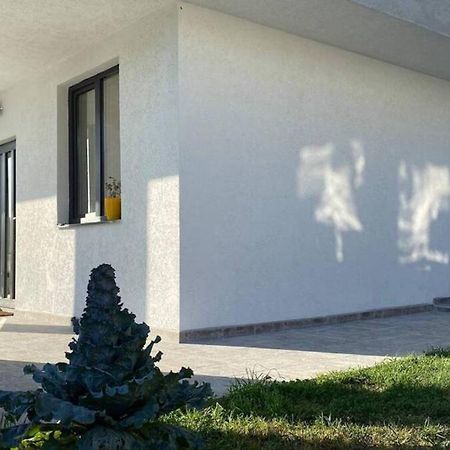 Lola Seaview Guest House. Уютный Домик В Варне Varna Buitenkant foto