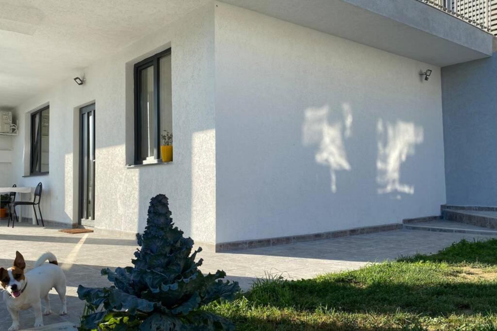 Lola Seaview Guest House. Уютный Домик В Варне Varna Buitenkant foto